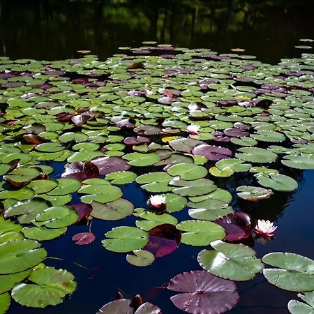 Ghyll Crest Hotel Windermere